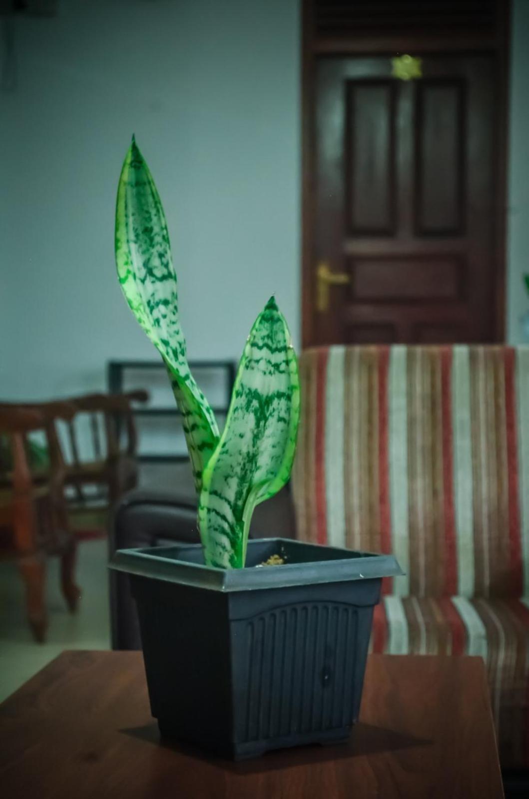 New Blue Home Ella Bagian luar foto